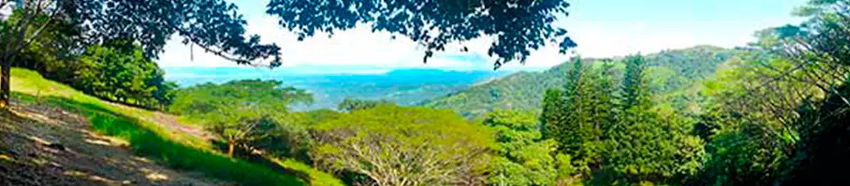 real-img1 Real estate miramar costa rica image 1
