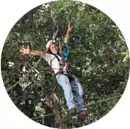 tarzan-circle1